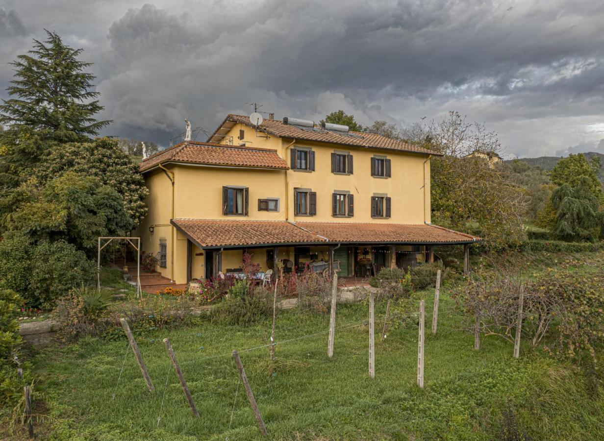 Agriturismo Il Bardellino フィヴィッツァーノ エクステリア 写真