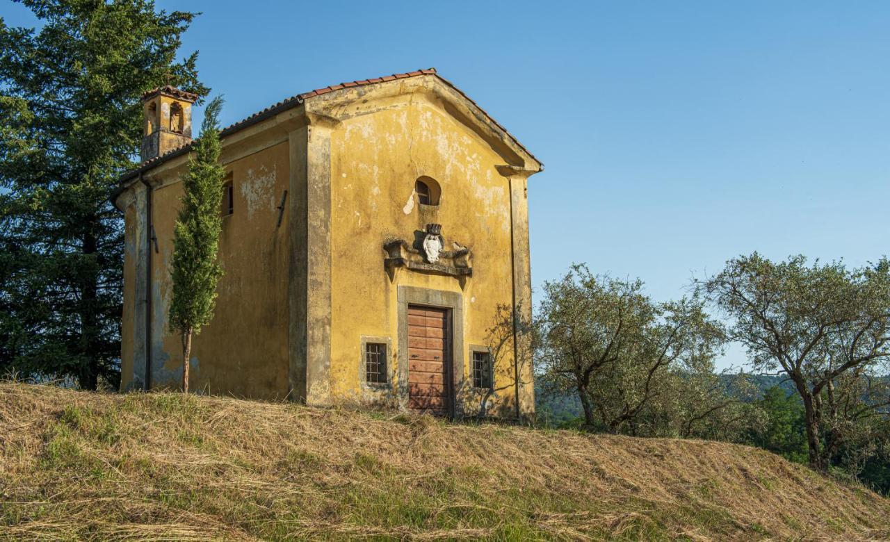 Agriturismo Il Bardellino フィヴィッツァーノ エクステリア 写真