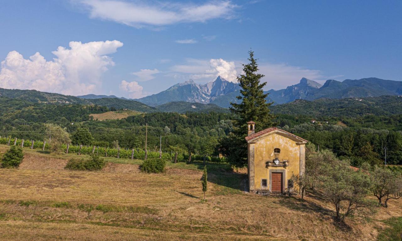 Agriturismo Il Bardellino フィヴィッツァーノ エクステリア 写真