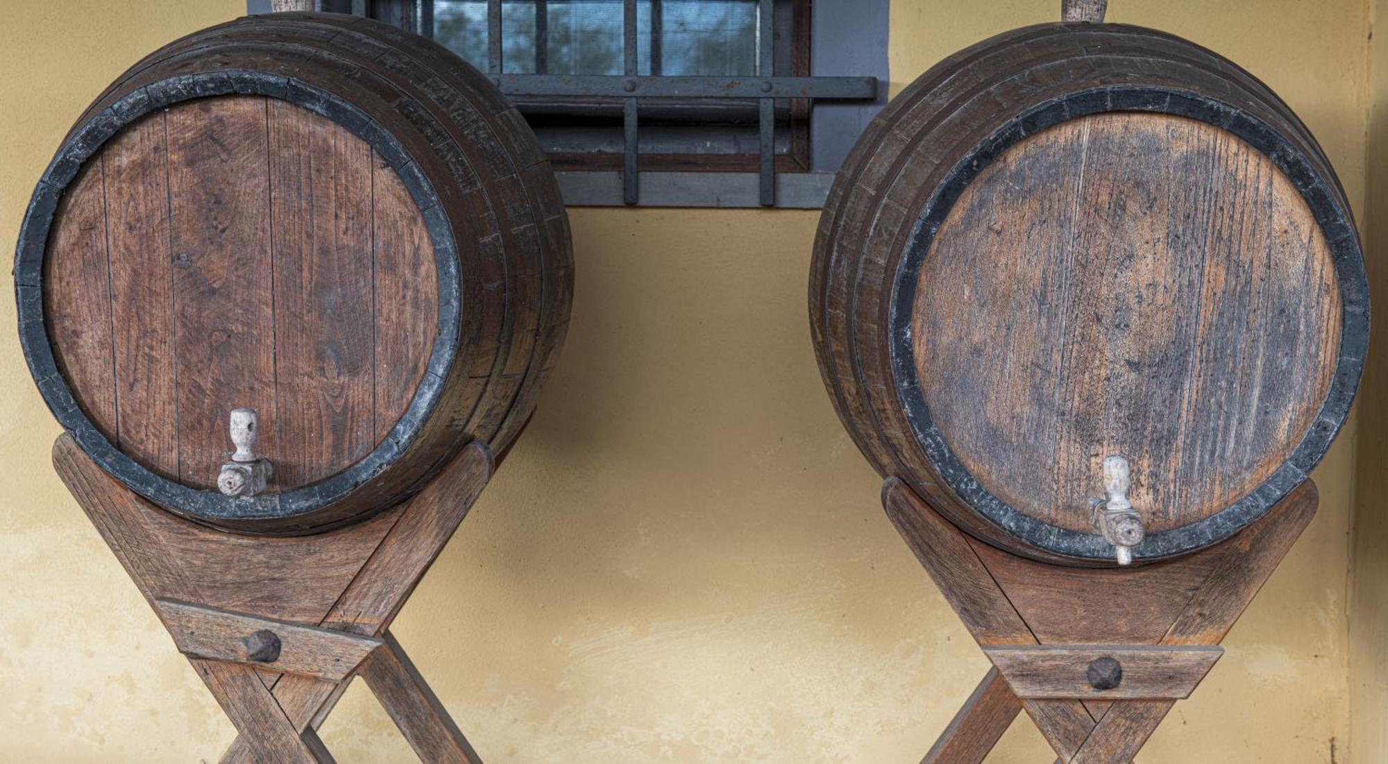 Agriturismo Il Bardellino フィヴィッツァーノ エクステリア 写真