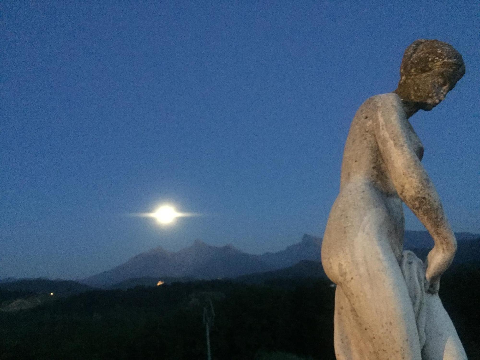 Agriturismo Il Bardellino フィヴィッツァーノ エクステリア 写真