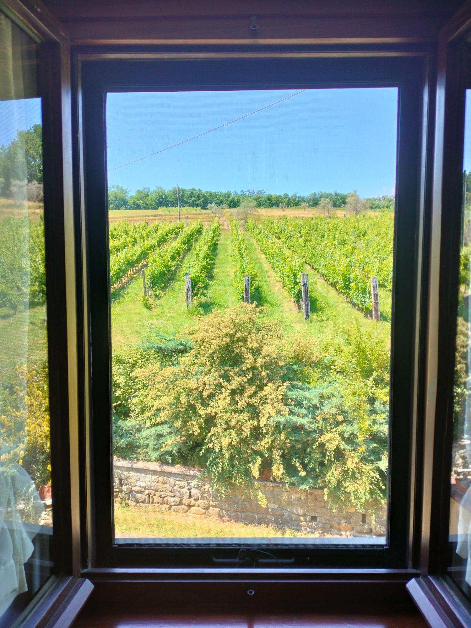 Agriturismo Il Bardellino フィヴィッツァーノ エクステリア 写真