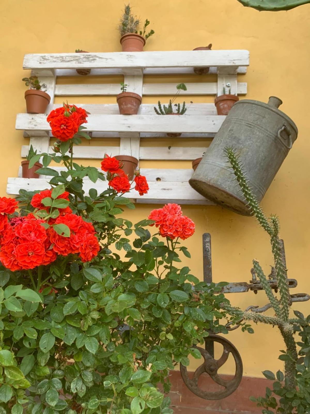 Agriturismo Il Bardellino フィヴィッツァーノ エクステリア 写真