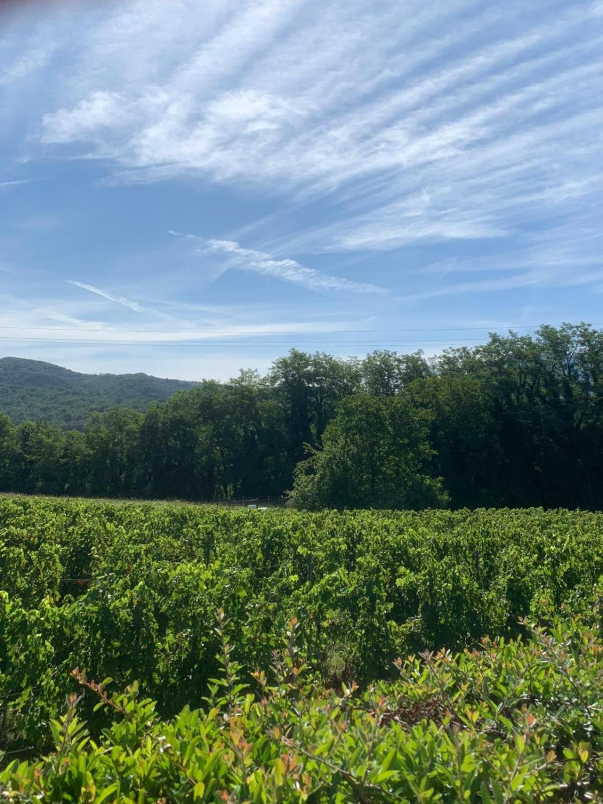 Agriturismo Il Bardellino フィヴィッツァーノ エクステリア 写真
